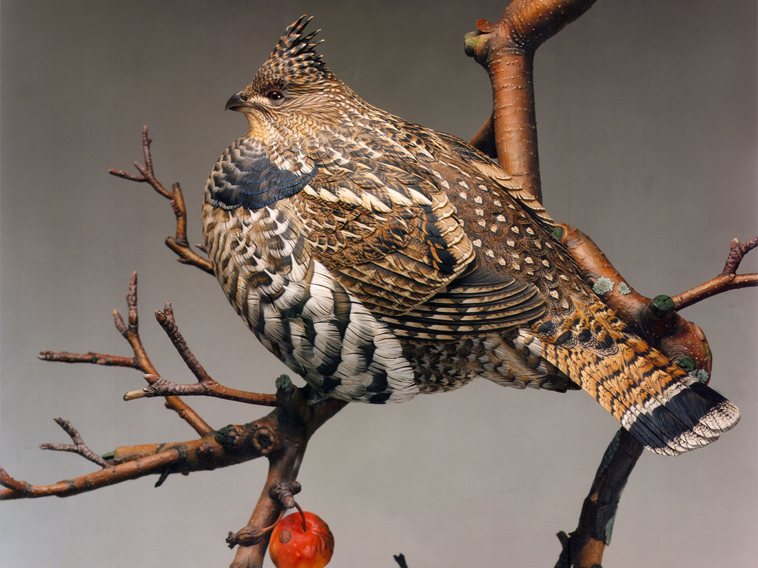 Abandoned Orchard - Ruffed Grouse 1994 - Godin Art