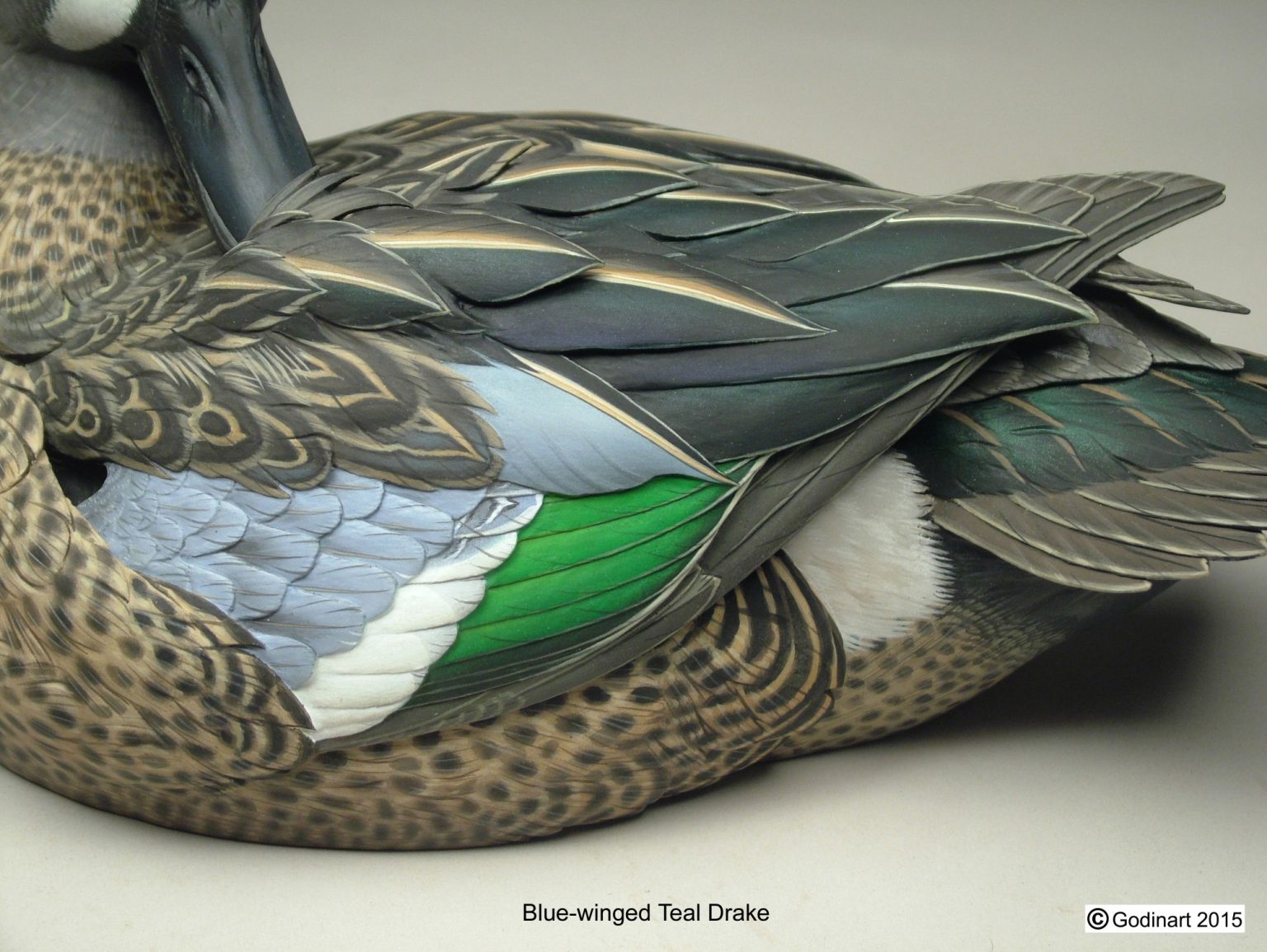 Blue Winged Teal Drake Photo Packet - Godin Art