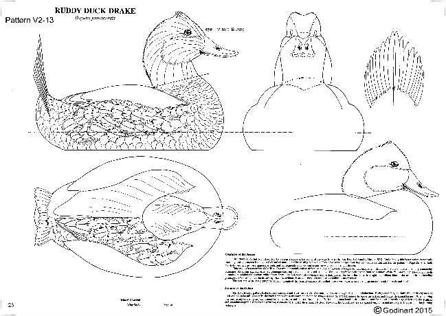Ruddy Duck Drake Godin Art