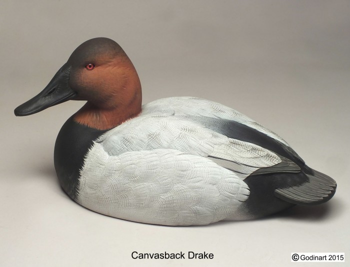 Canvasback Drake Photo Packet - Godin Art