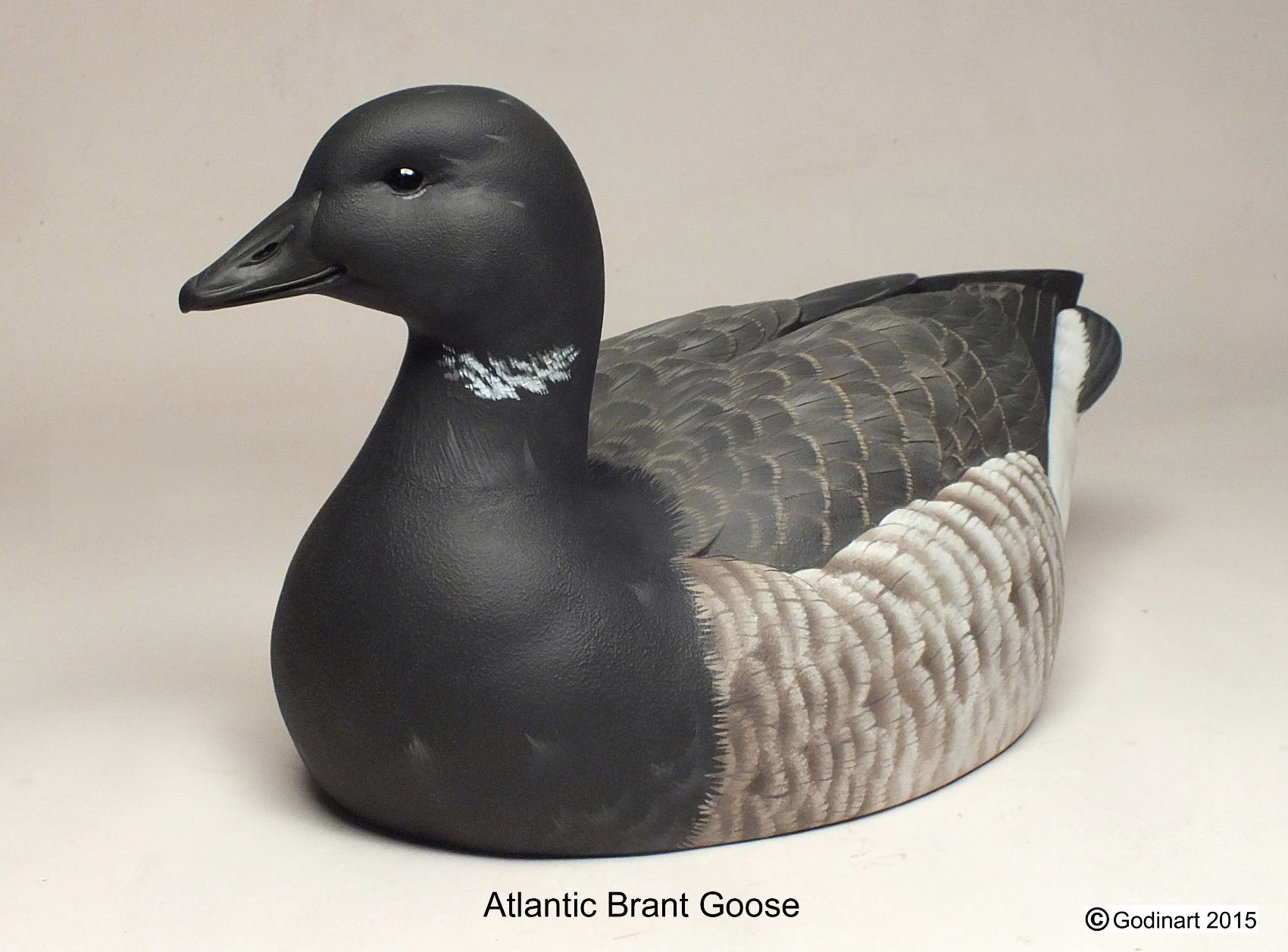 Atlantic Brant Goose Photo Packet - Godin Art