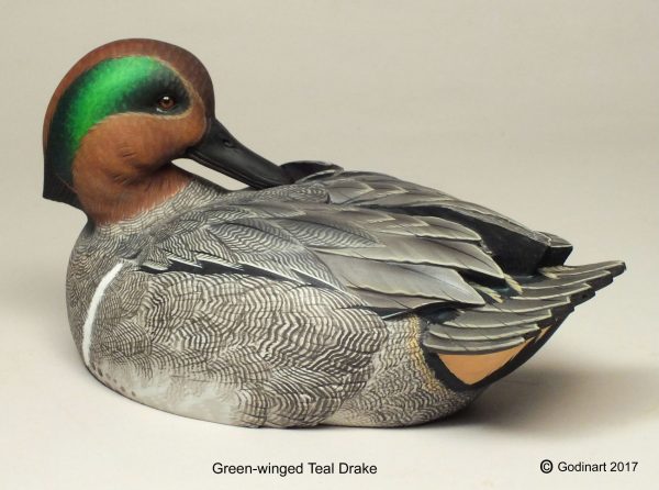 Green-winged Teal Drake Photo Packet - Godin Art