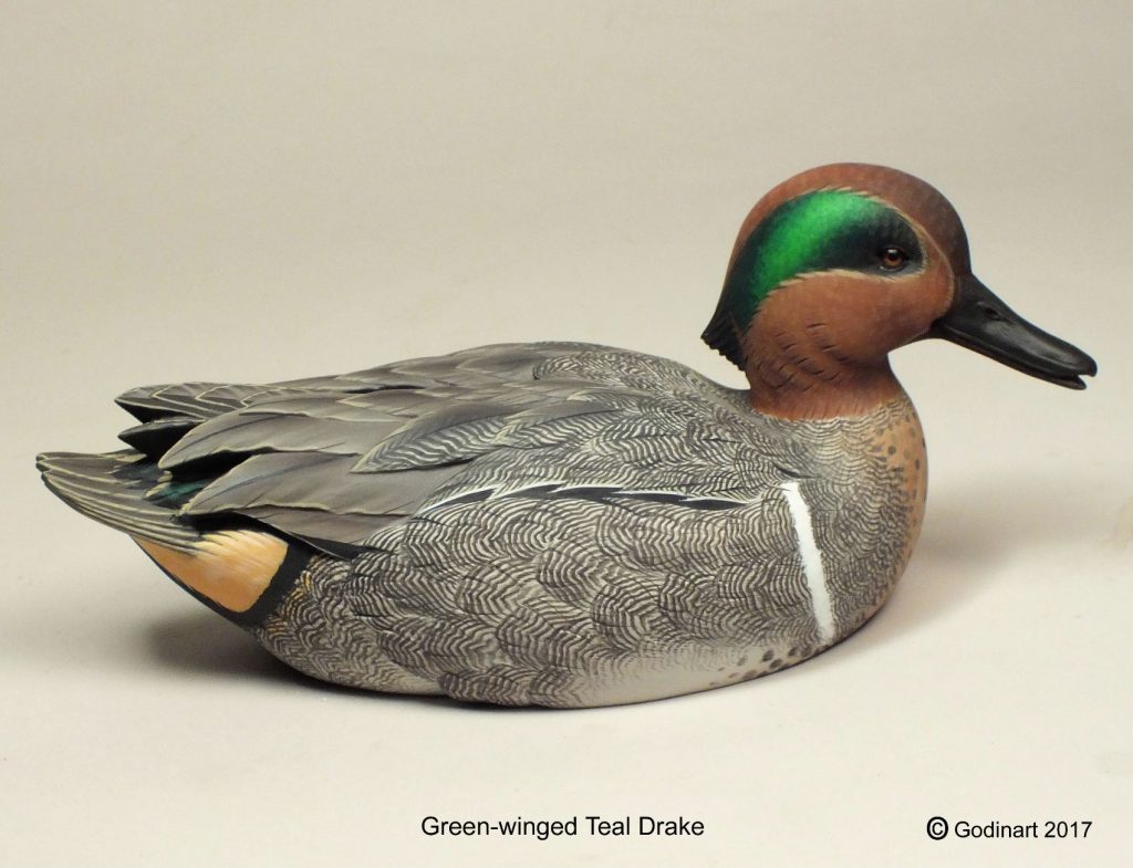 Green-winged Teal Drake Photo Packet - Godin Art