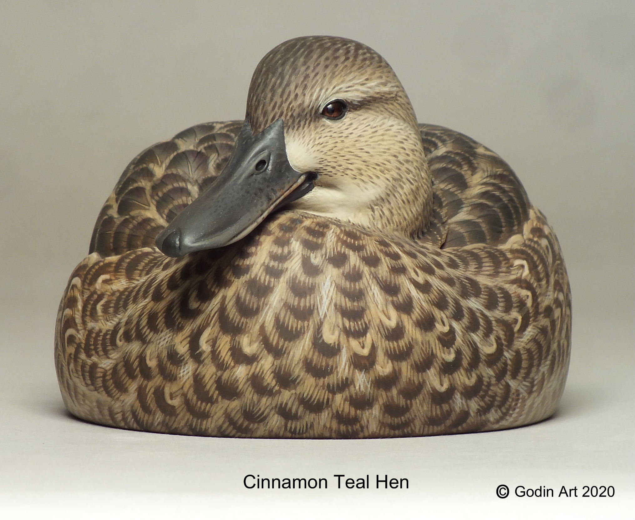 Cinnamon Teal Hen Photo Packet Godin Art