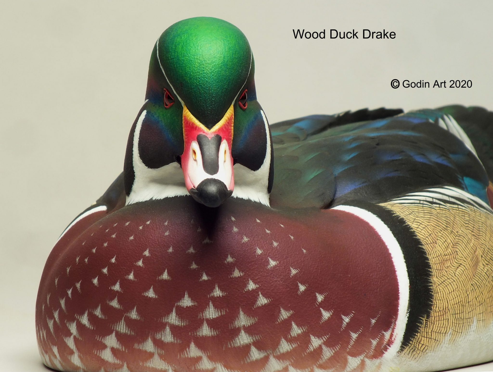 Wood Duck Drake Photo Packet Godin Art