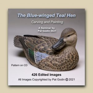 Black Duck Decoy Reference Photo Cd 